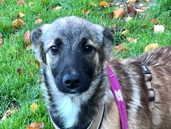 Sofie freut sich auf dich