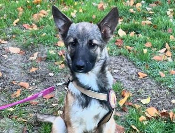 Sofie freut sich auf dich