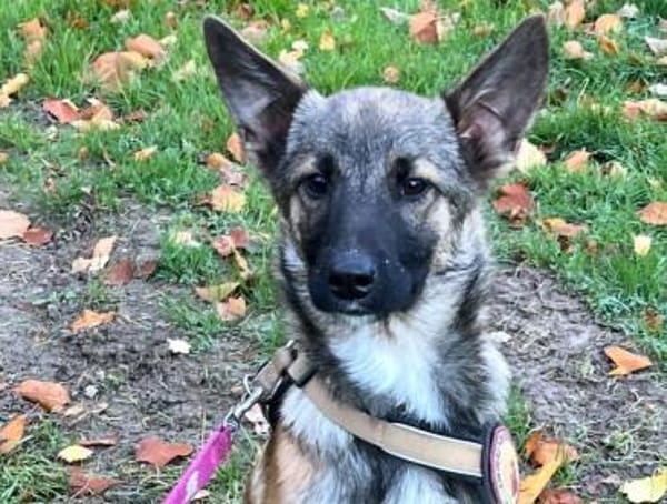 Sofie freut sich auf dich