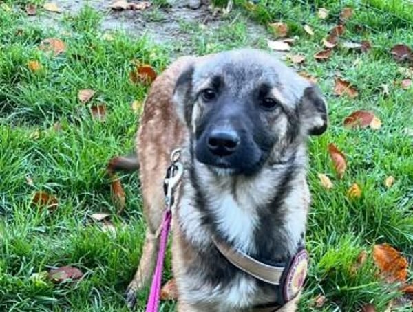 Sofie freut sich auf dich