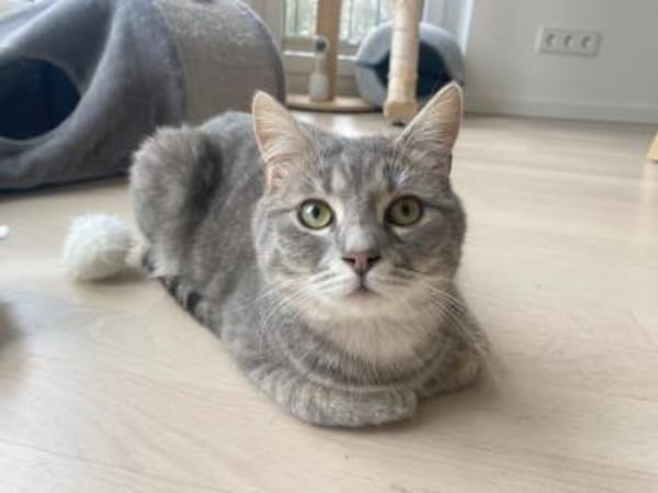 Cielo wünscht sich liebe Menschen