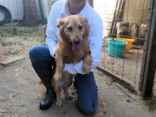 Wer schenkt Subi ein Zuhause?