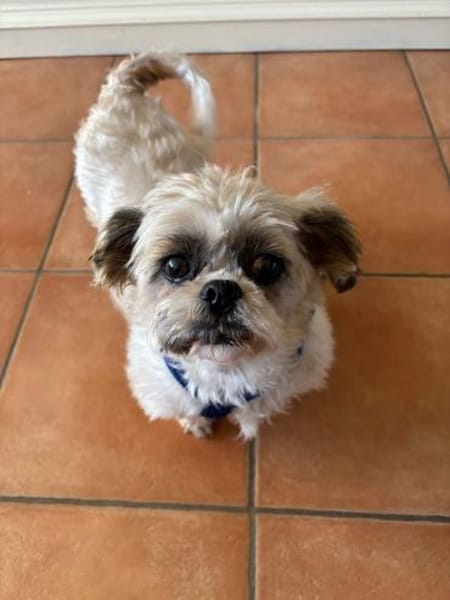 Diana°  in 66740 Saarlouis