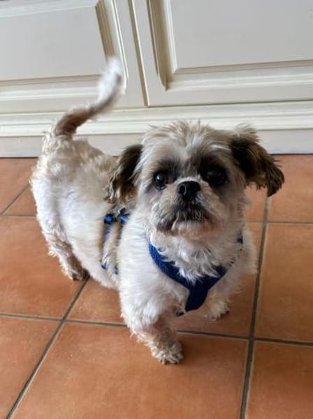 Diana°  in 66740 Saarlouis