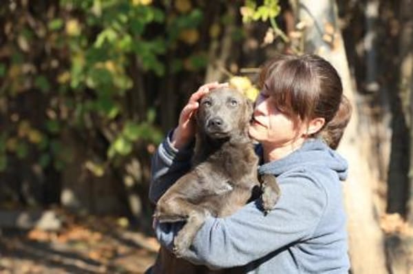 Wer gibr Blue ein Zuhause?