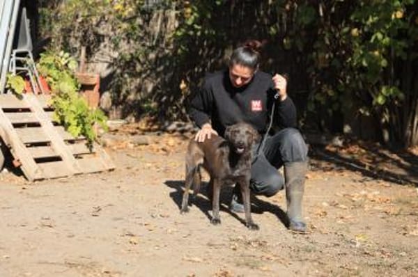 Wer gibr Blue ein Zuhause?