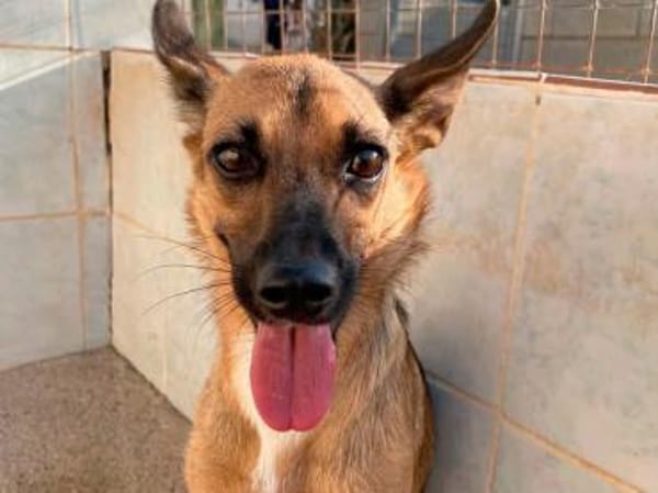 KIKA - entzückend und fröhlich!