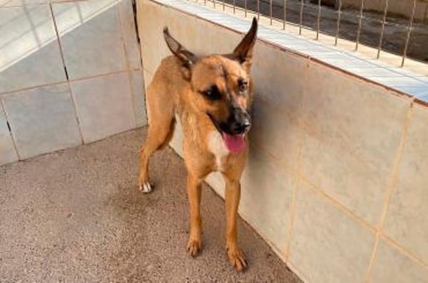 KIKA - entzückend und fröhlich!