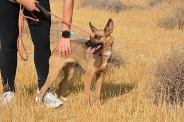 KIKA - entzückend und fröhlich!