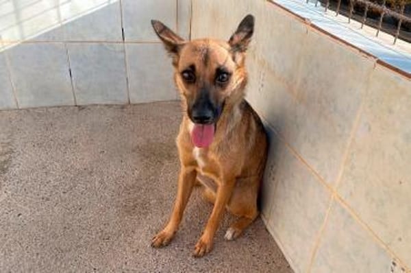 KIKA - entzückend und fröhlich!