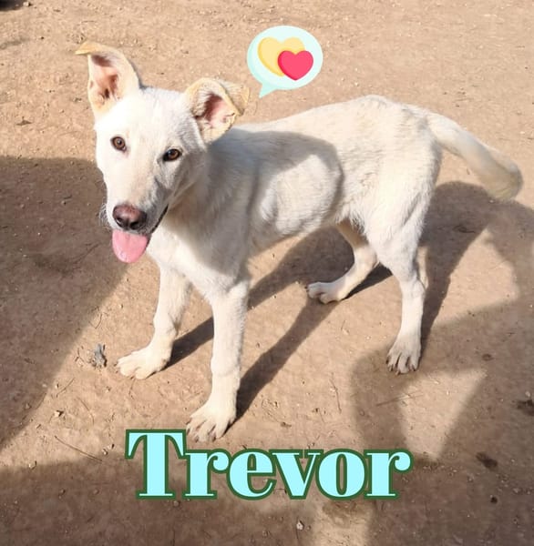 TREVOR nato ad Aprile ‘25