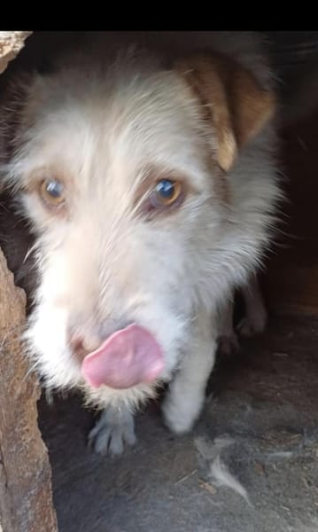 ODIN sucht seine Menschen