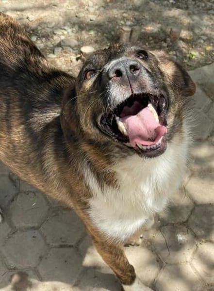 FERICITA heißt Freude