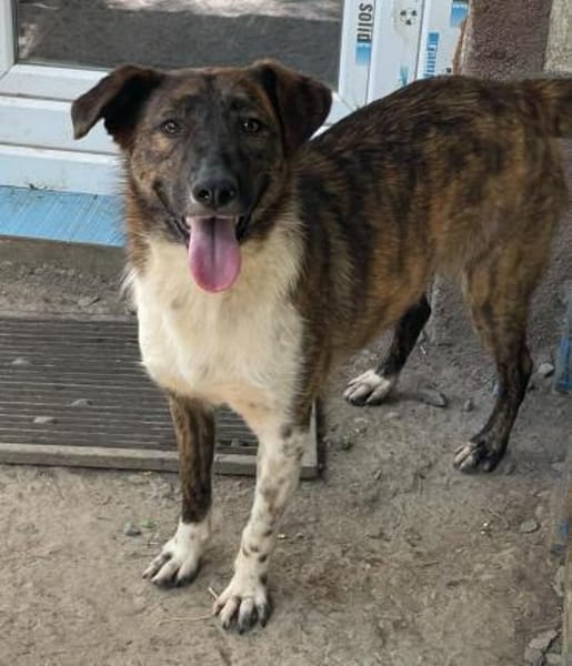 FERICITA heißt Freude