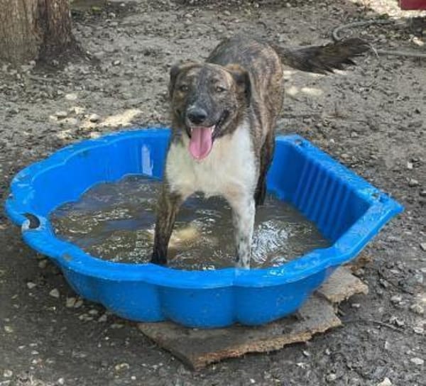 FERICITA heißt Freude