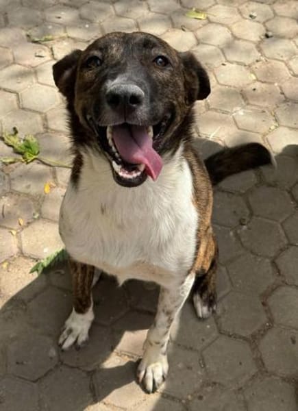 FERICITA heißt Freude