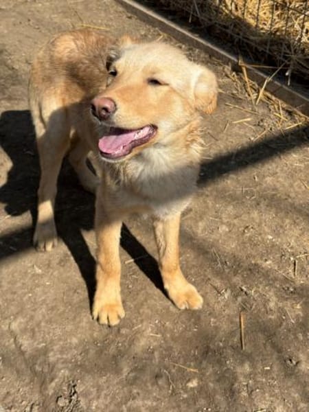 CHARLY wartet immer noch