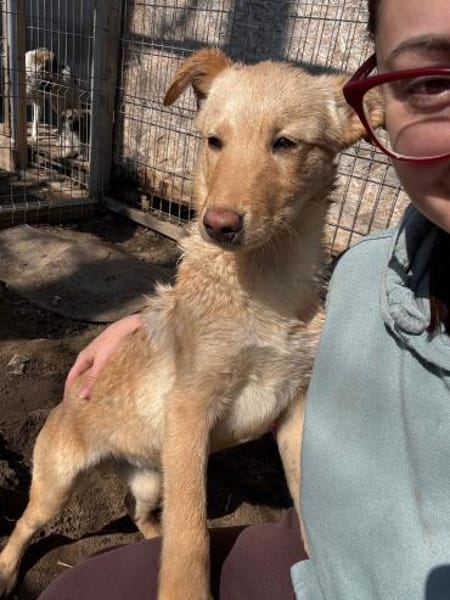 CHARLY wartet immer noch