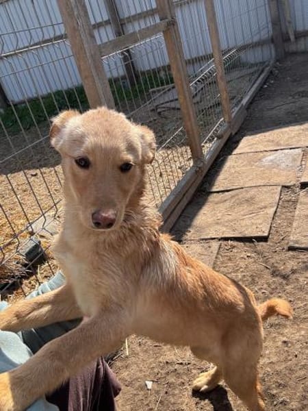 CHARLY wartet immer noch