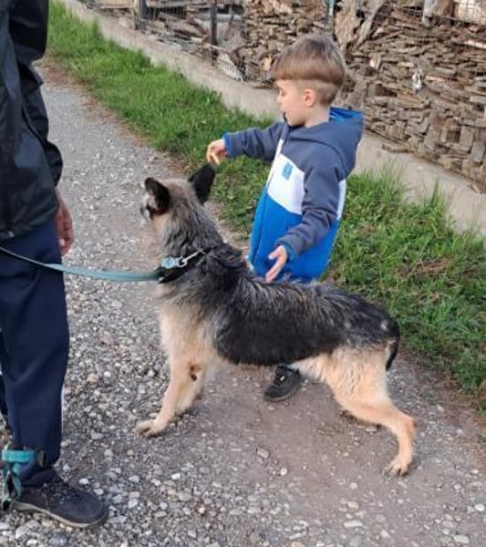 FRUMOASA sucht ihr Zuhause