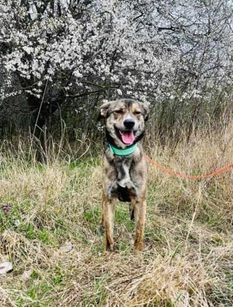 Thors Glück war nur von kurzer Zeit :(