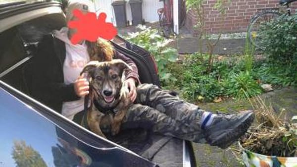 Thors Glück war nur von kurzer Zeit :(