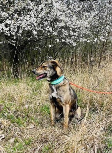 Thors Glück war nur von kurzer Zeit :(