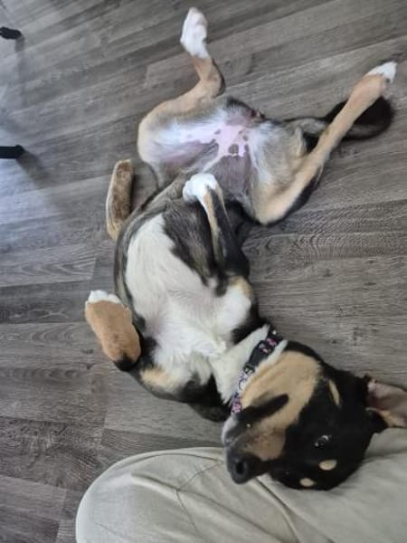 Mary sucht ganz dringend ihr Puzzlestück