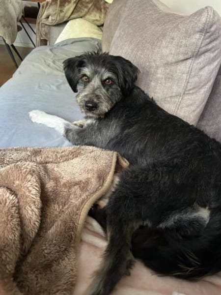 Hübsche Rosi braucht Hilfe!