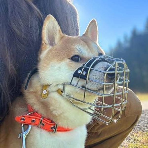 Fiete - ist meinungsstark