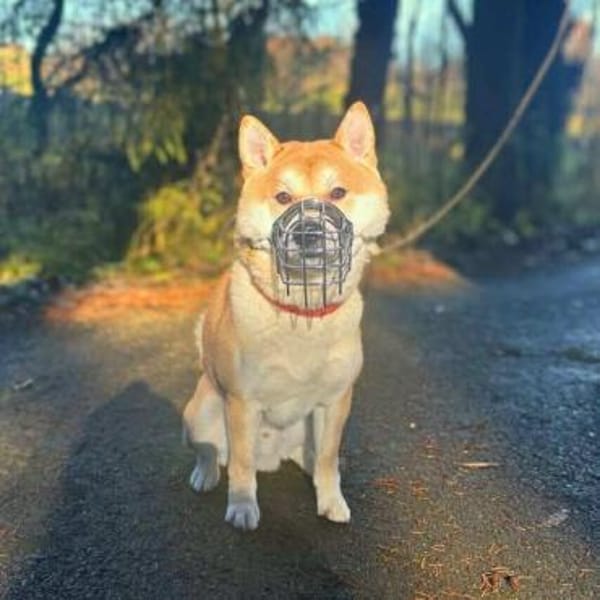 Fiete - ist meinungsstark