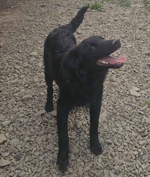 SAMMY - black is  beautyful