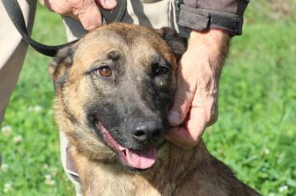 Lalina - sehr kinderlieb u. aufgeweckt