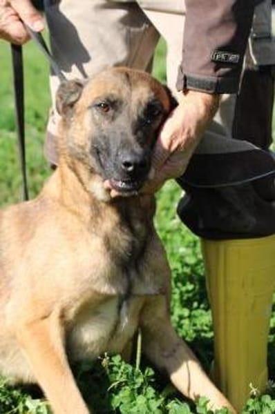 Lalina - sehr kinderlieb u. aufgeweckt