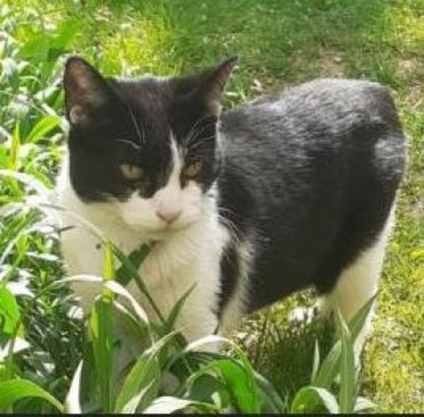 Cielo ❤ seine Menschen + seine Freiheit