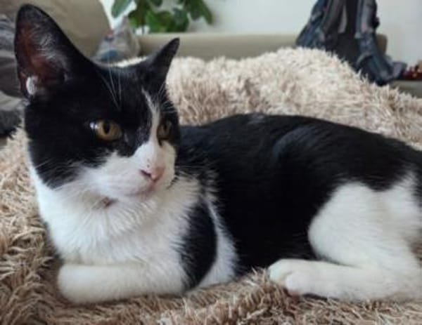 Cielo ❤ seine Menschen + seine Freiheit