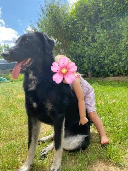 💙Monty💙 sucht seine Menschen