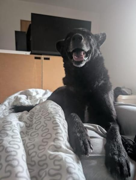 JD sucht seine Familie