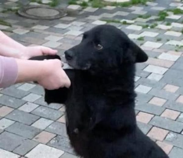 JD sucht seine Familie