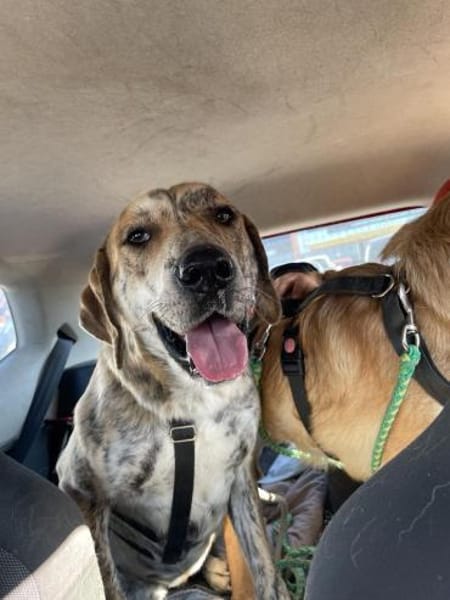 ❤Cleopatra eine sanfte Seele wartet...