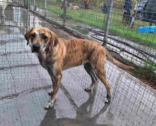 ❤Cleopatra eine sanfte Seele wartet...