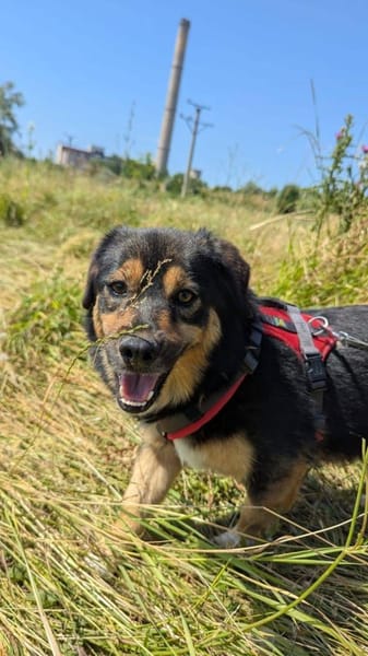 Danka möchte die Welt entdecken