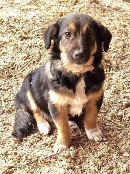 Danka möchte die Welt entdecken