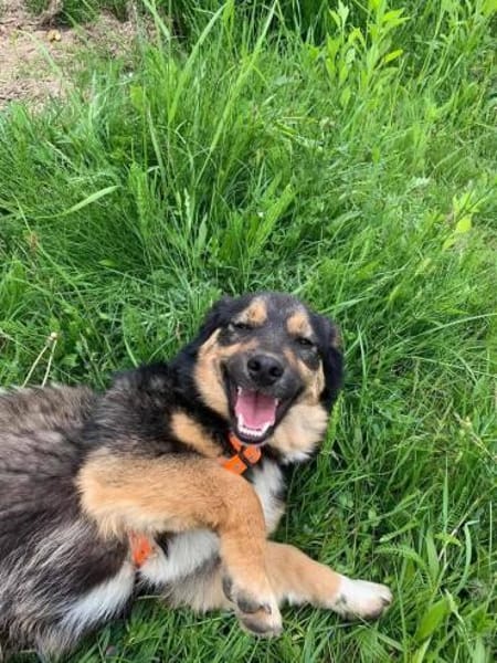 Danka möchte die Welt entdecken