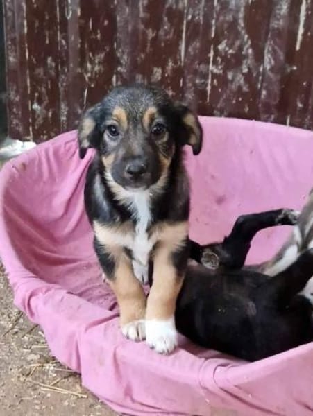 Danka möchte die Welt entdecken