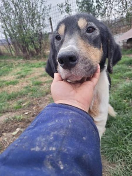 ANIMA - Alterswohnsitz gesucht