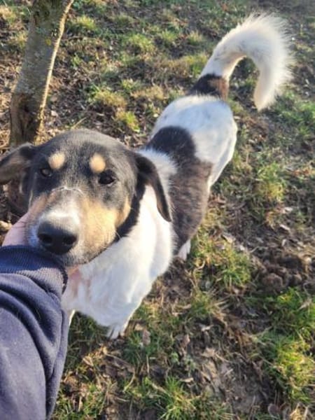 ANIMA - Alterswohnsitz gesucht