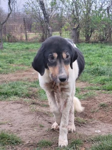 ANIMA - Alterswohnsitz gesucht