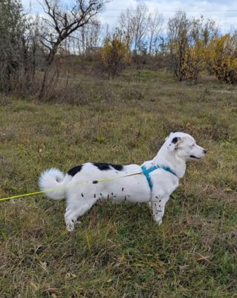 Toby freut sich auf ein eigenes Zuhause
