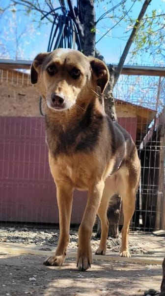 SPERANTA - die Hoffnung stirbt zuletzt